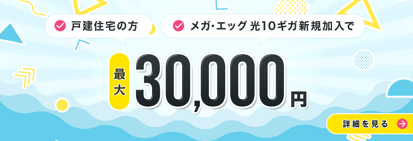 戸建限定！メガ・エッグ光10ギガ加入で最大30,000円もらえる!