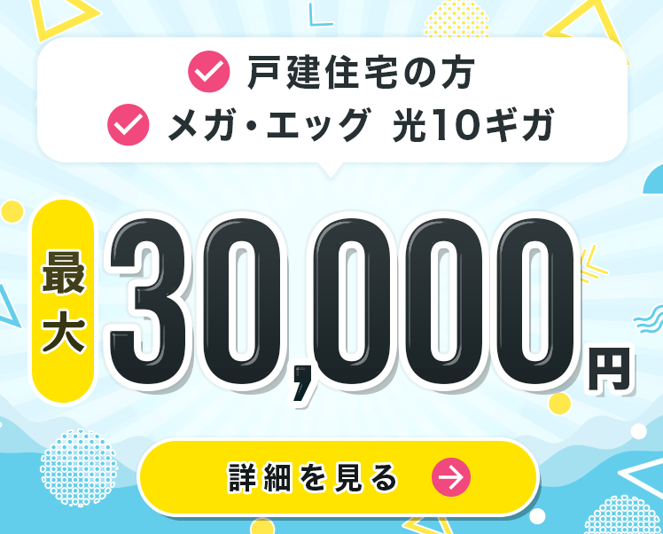戸建限定！メガ・エッグ光10ギガ加入で最大30,000円もらえる!