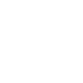メガ・エッグ コレクトのイメージ画像