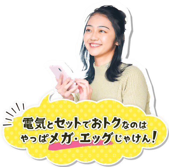 中国地方のインターネットはやっぱりメガ・エッグじゃけん！