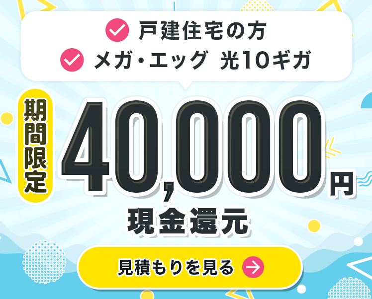 オプション加入不要で、工事の翌月末までに20,000円もらえる!